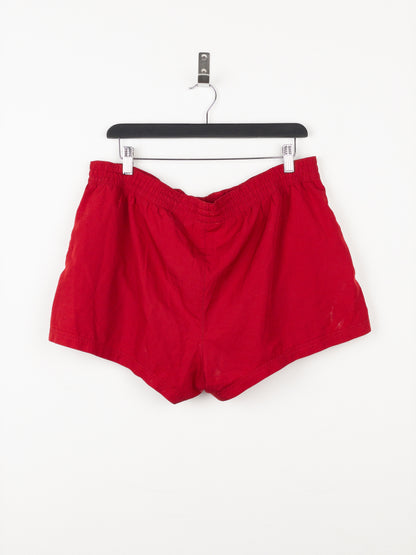 Dior Homme Sidestripe Bee Swim Trunks