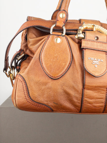 Prada 2000s Cervo Dragon Oro Satchel Handbag