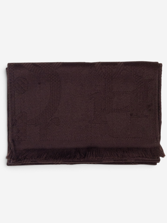 Dior Homme 2010s Oblique Diorissimo Monogram Scarf – front view