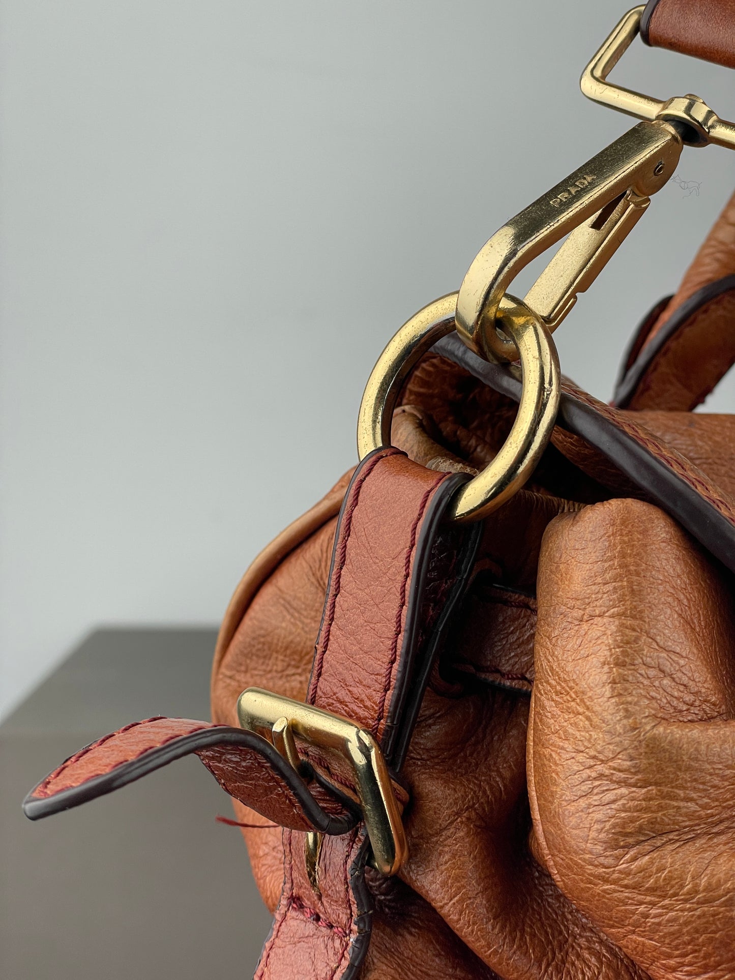 Prada 2000s Cervo Dragon Oro Satchel Handbag